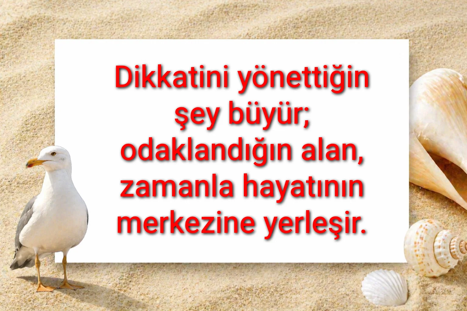 tunanova, sözsepeti,en güzel sözler,aşkım, bitanem, canım, dünyam, efulim, fısftığım, gülüm, hayatım, herşeyim, ilkim, iyikim, kalbim, limanım, meleğim, nartanem, ömrüm, papatyam, sevdiceğim, sevdam, tutkum, ülkem, memleketim, yuvam,yavrum , zümrüdüm, sana aşığım, iyiki varsın, iyiki benimsin seni seviyorum, aşk sözleri, aşk resmi, romantik sevgi mesajı, çiftler için duygusal anlamlı uzun güzel sözler görseli